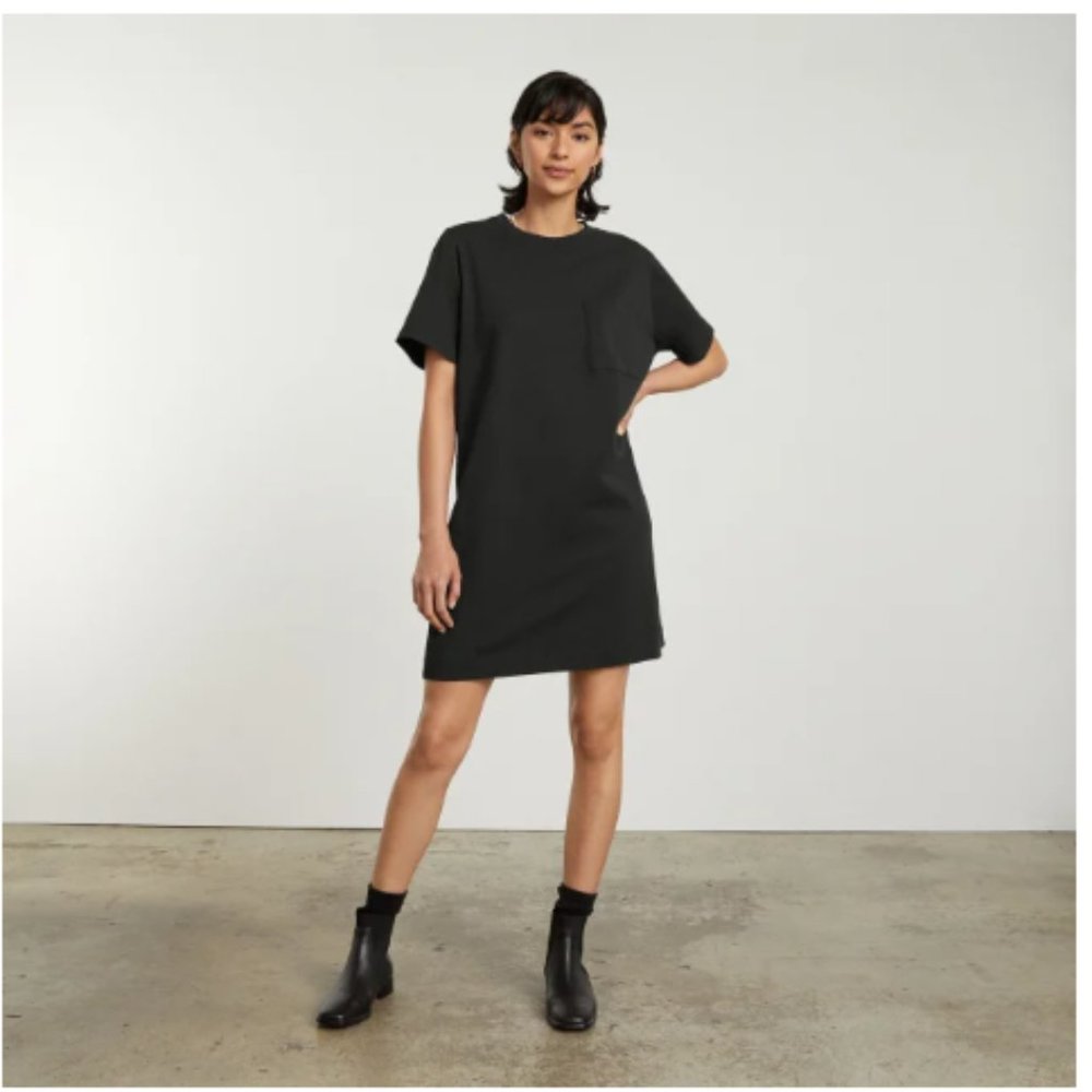 Everlane Tee Shirt Dress
